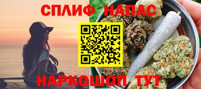 ешки Камышлов