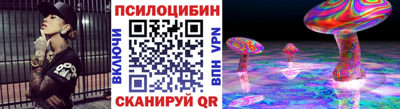 где продают   Нижний Новгород  Псилоцибиновые грибы мухоморы 