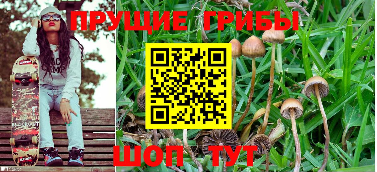 Нижний Новгород  Галлюциногенные грибы Cubensis  хочу   Вход с VPN 