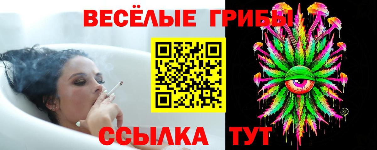 Псилоцибиновые грибы Psilocybine cubensis Нижний Новгород