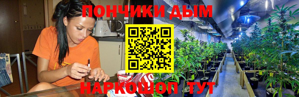 Каннабис планчик Нижний Новгород